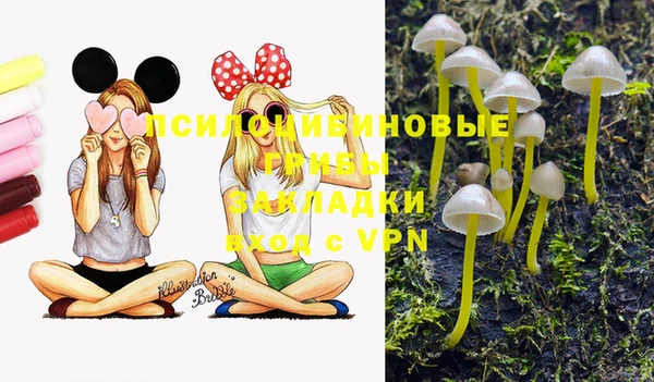 марки lsd Богданович